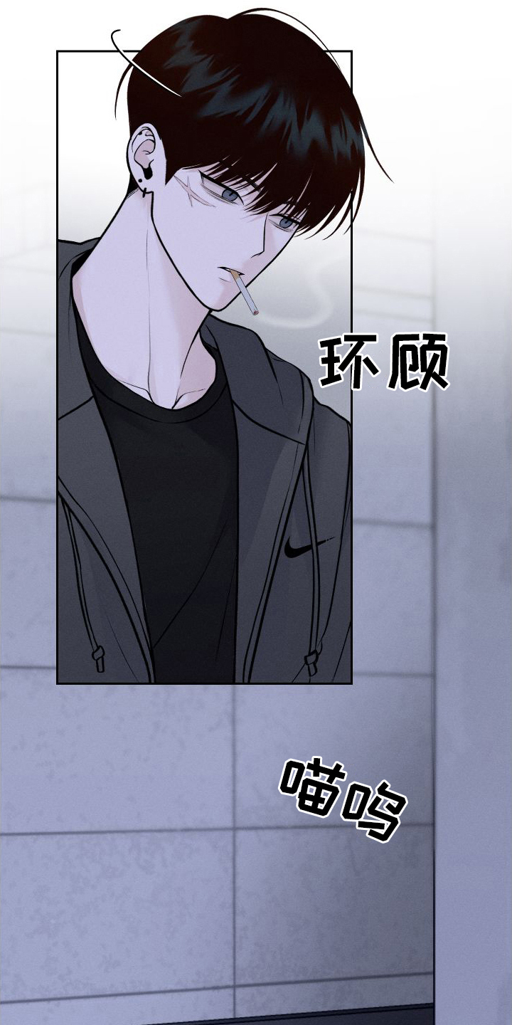 第8章：胡思乱想6