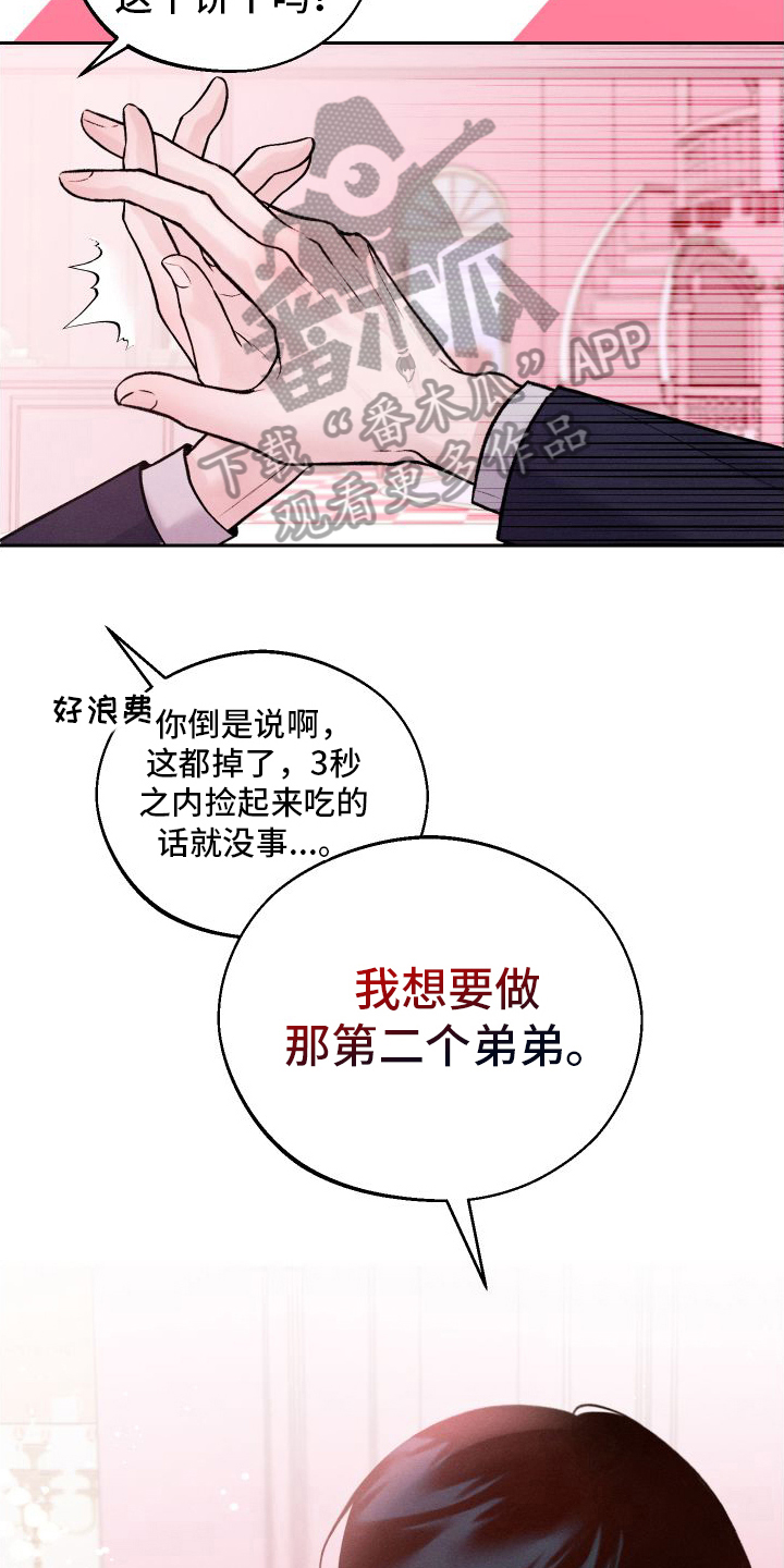 第13章：第二个弟弟13