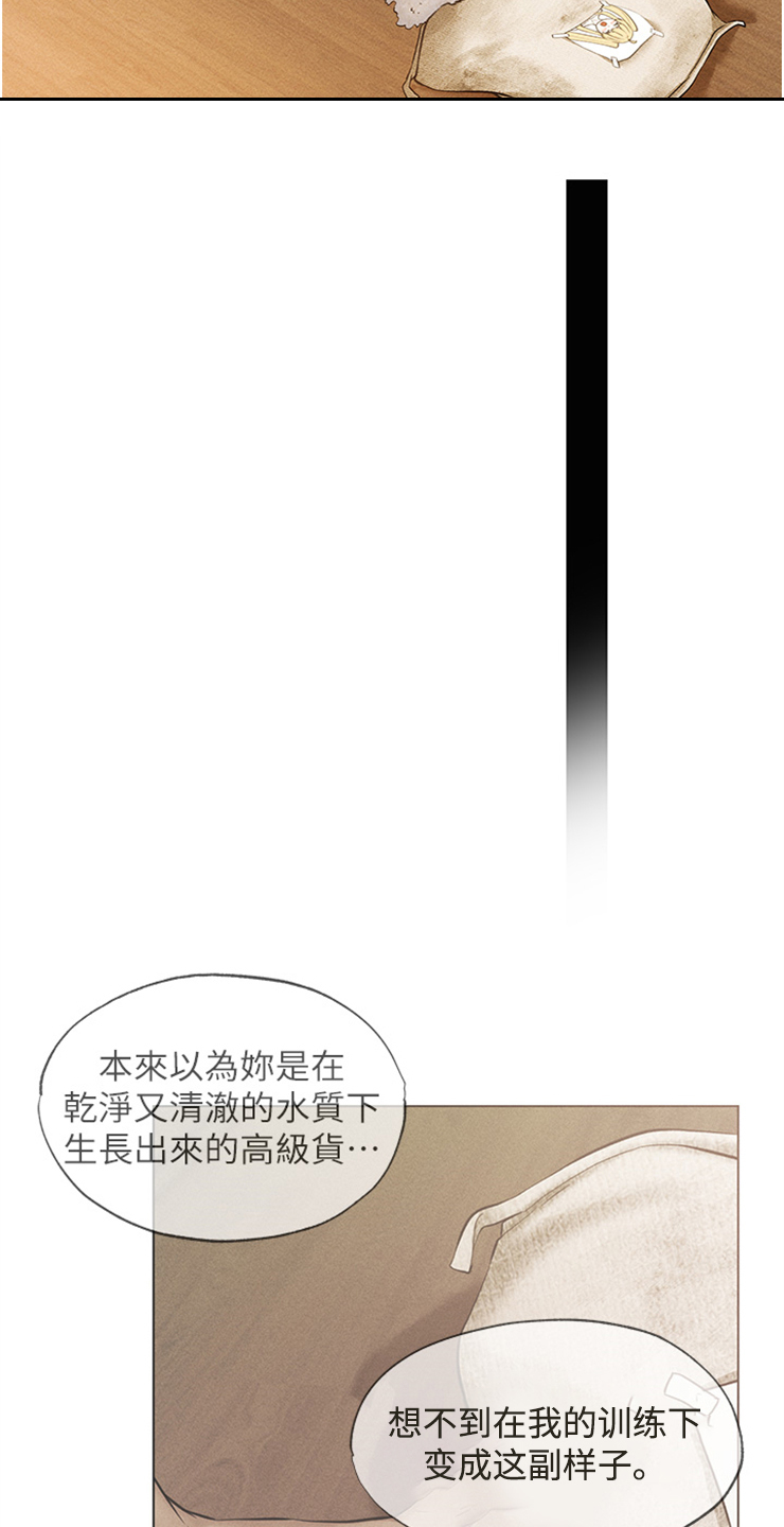 第1章：训练21