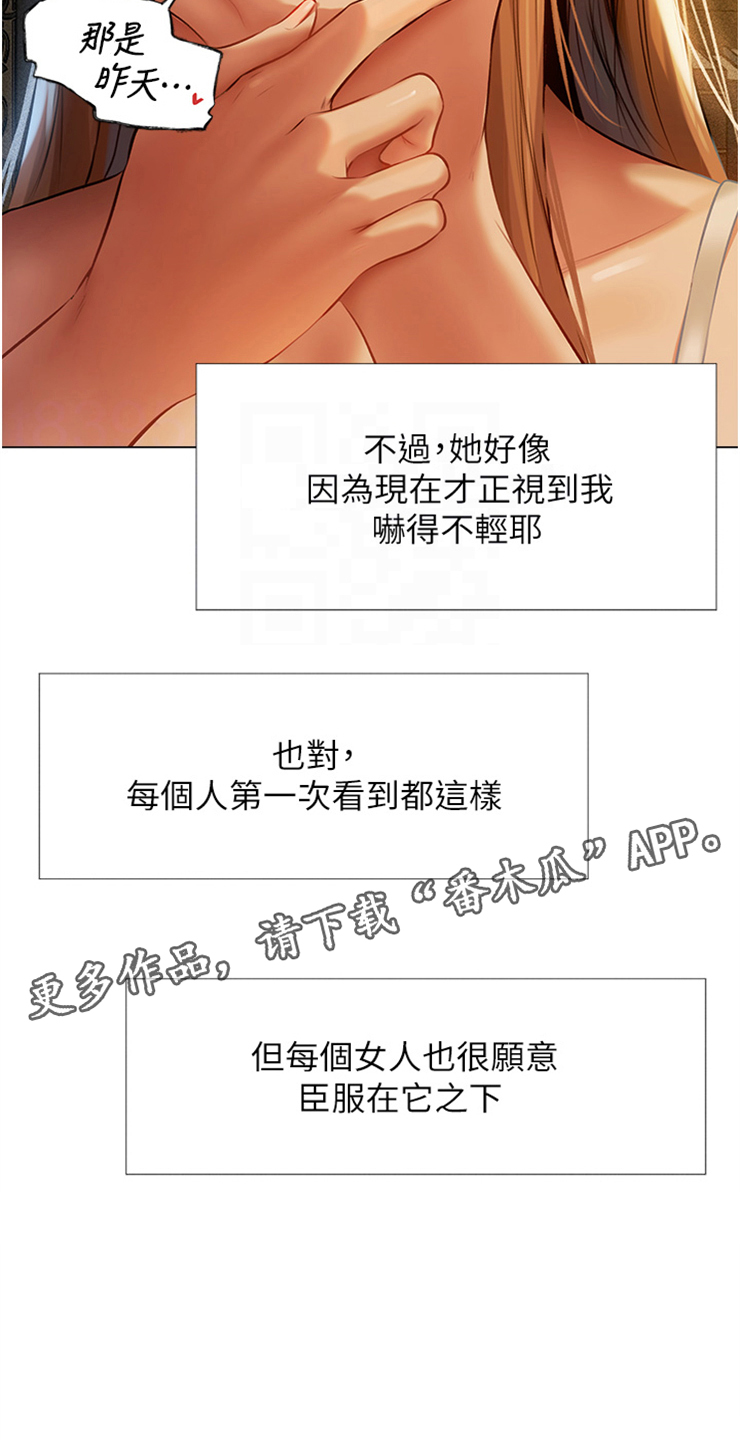 第11章：明知故问19