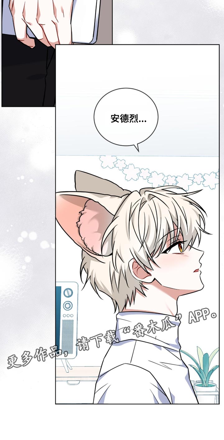 第40话29