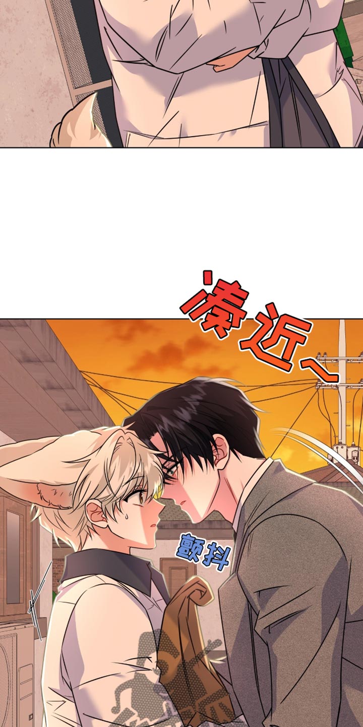 第52话1