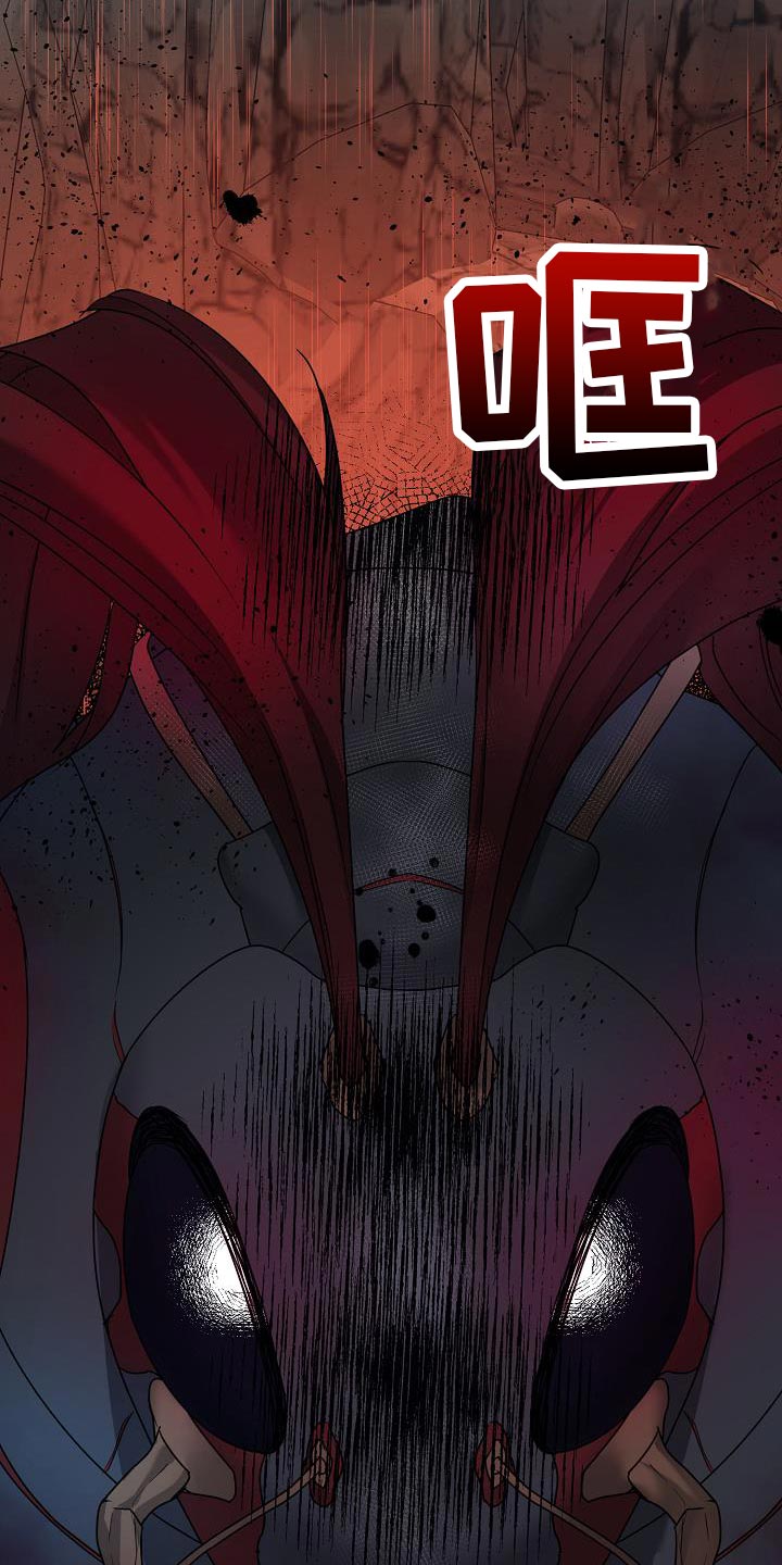 第24话19