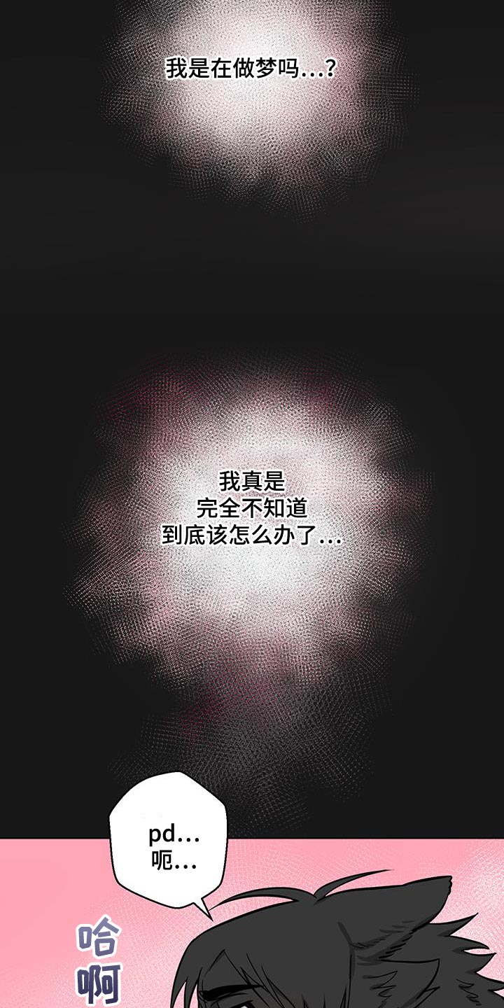 第13话17