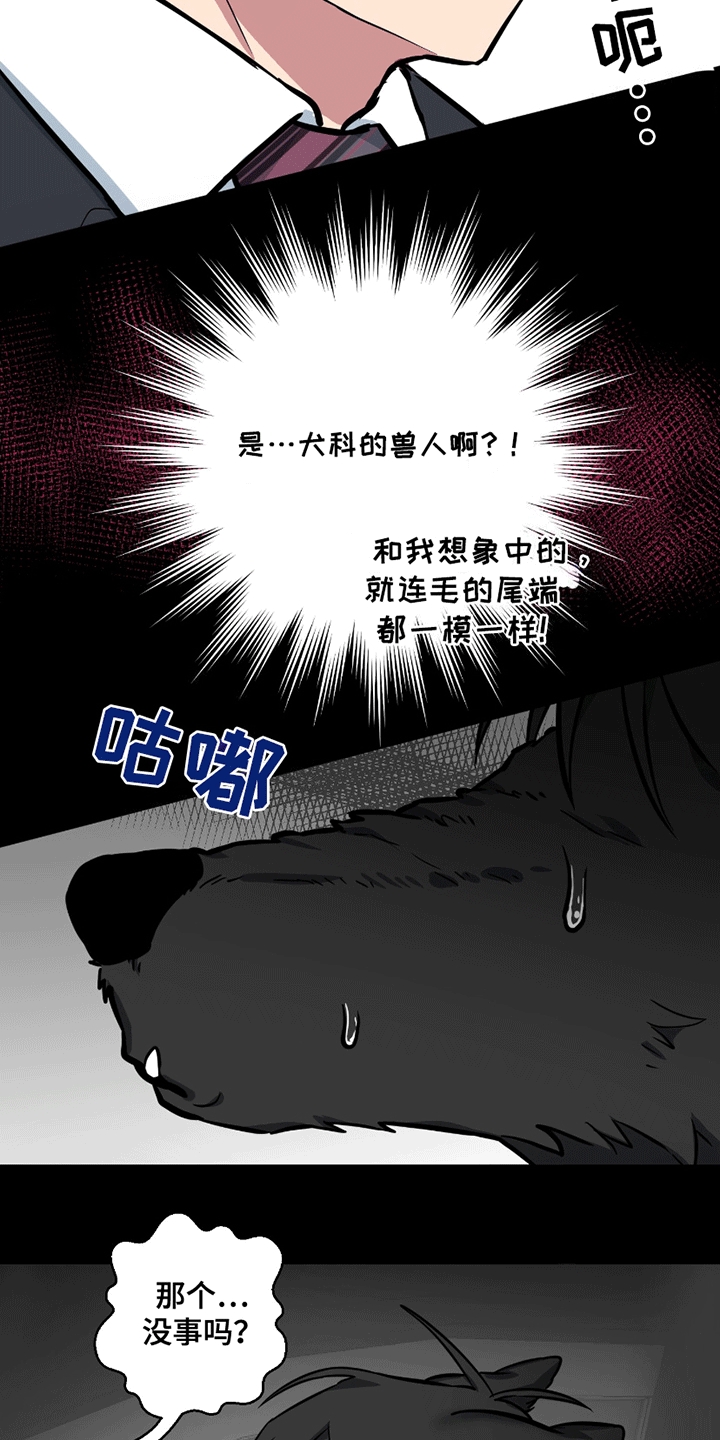 第11话15