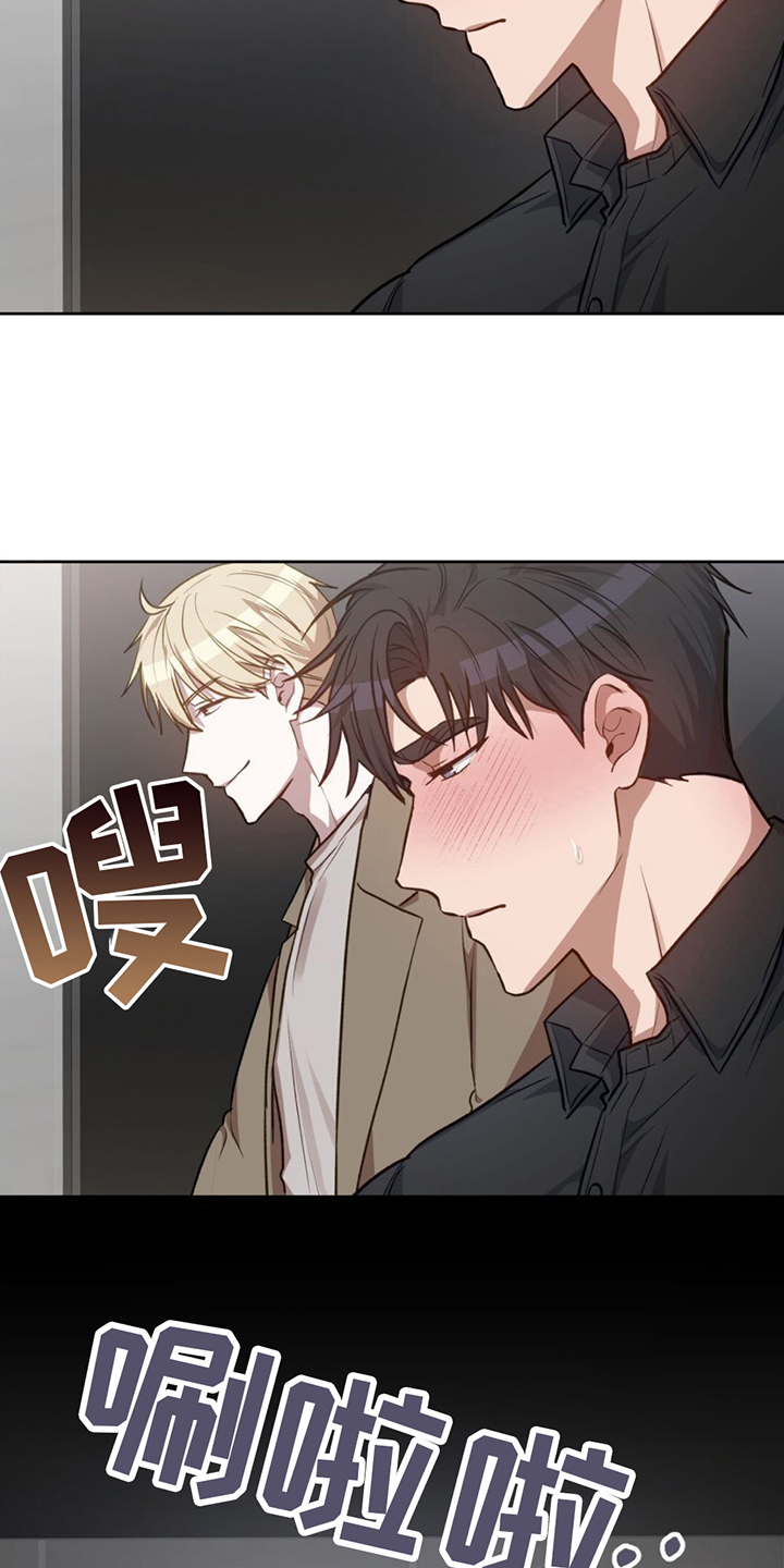 第2章：掩盖14