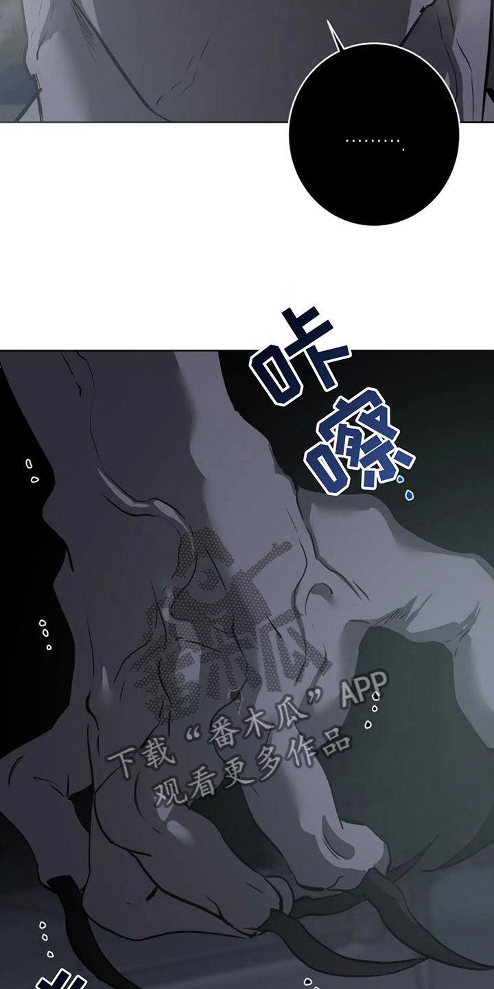 第4章：命令18