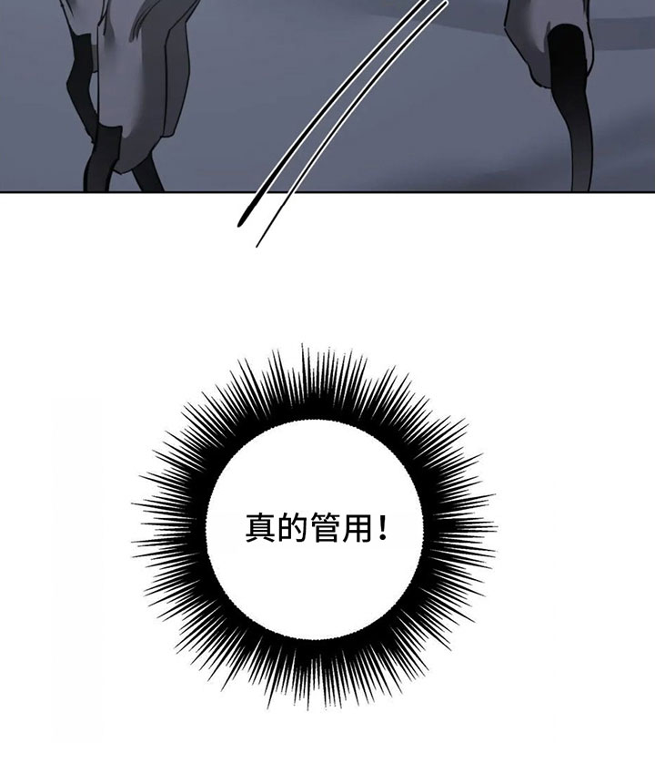 第4章：命令28