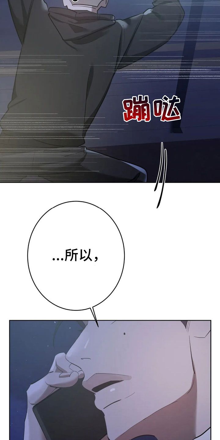 第8章：调查结果12