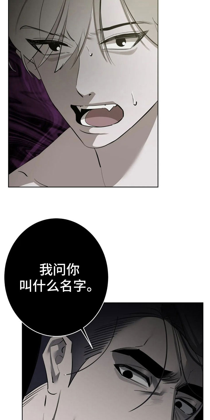 第6章：一百亿20