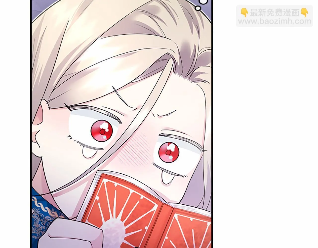 第14话 生日庆典28