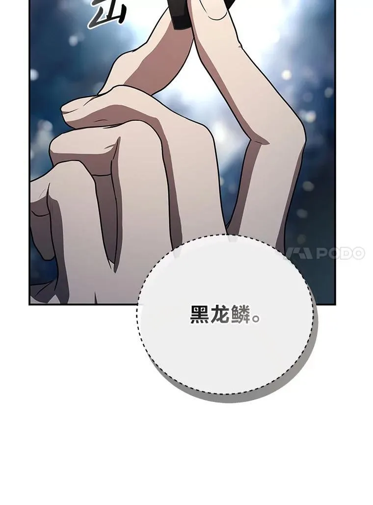 20.王的威严9