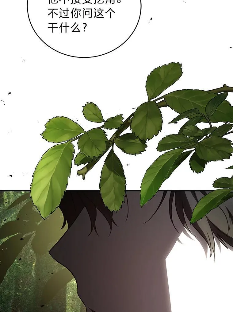 19.13月141