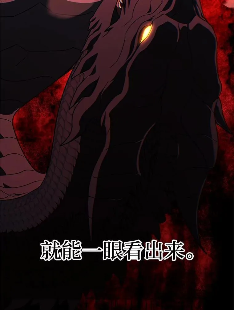28.大展身手81