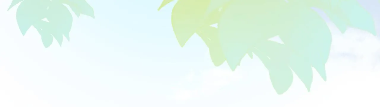 第3话 我才是养女！28