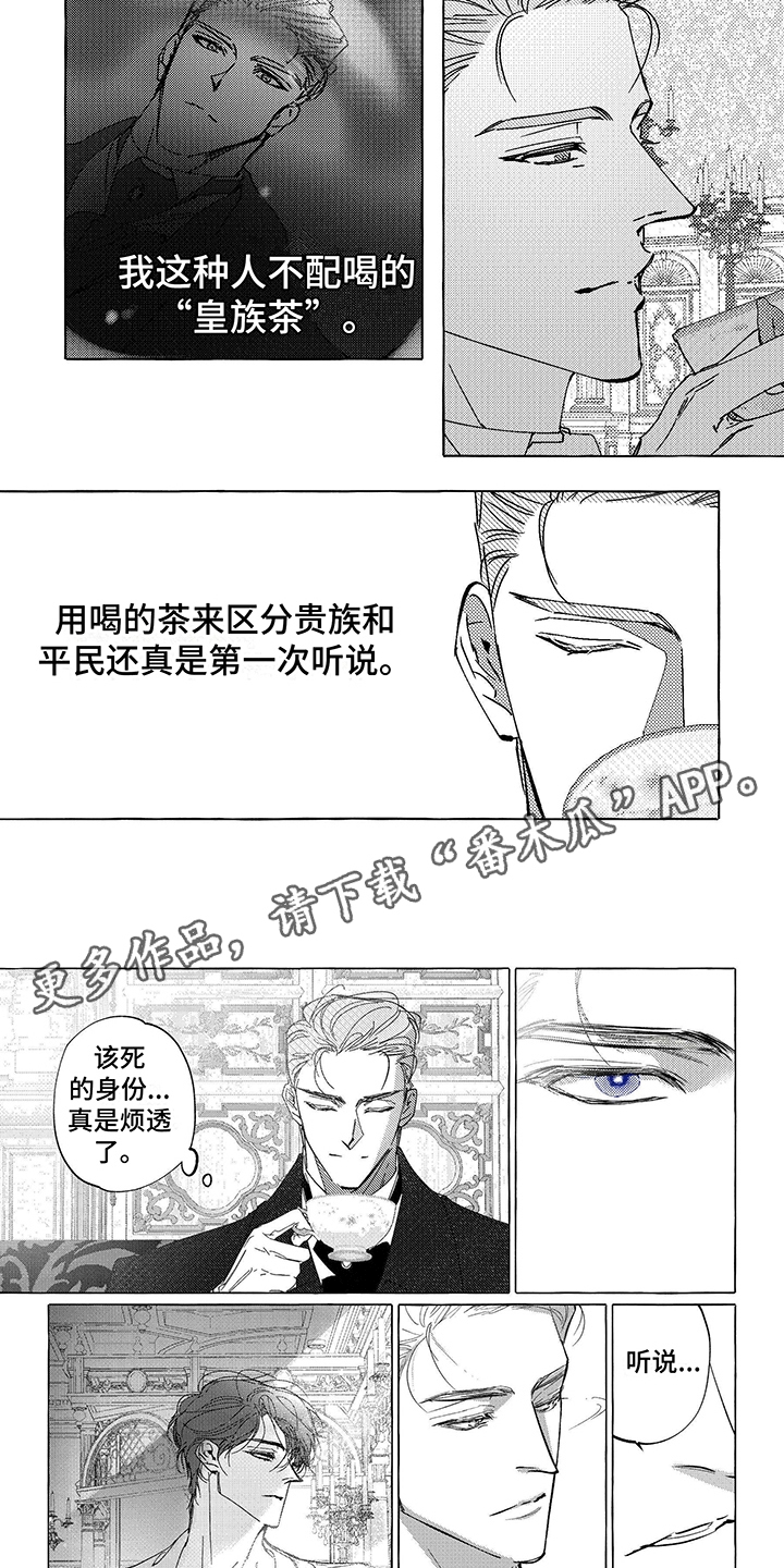 第10章：喝茶4