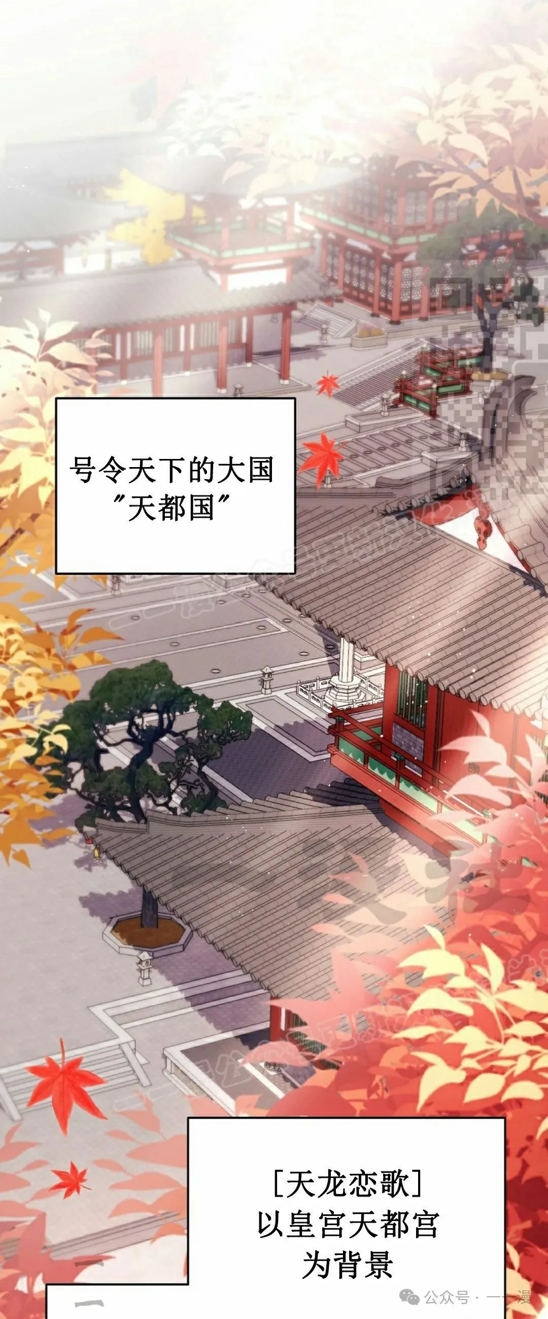 存 第2集0