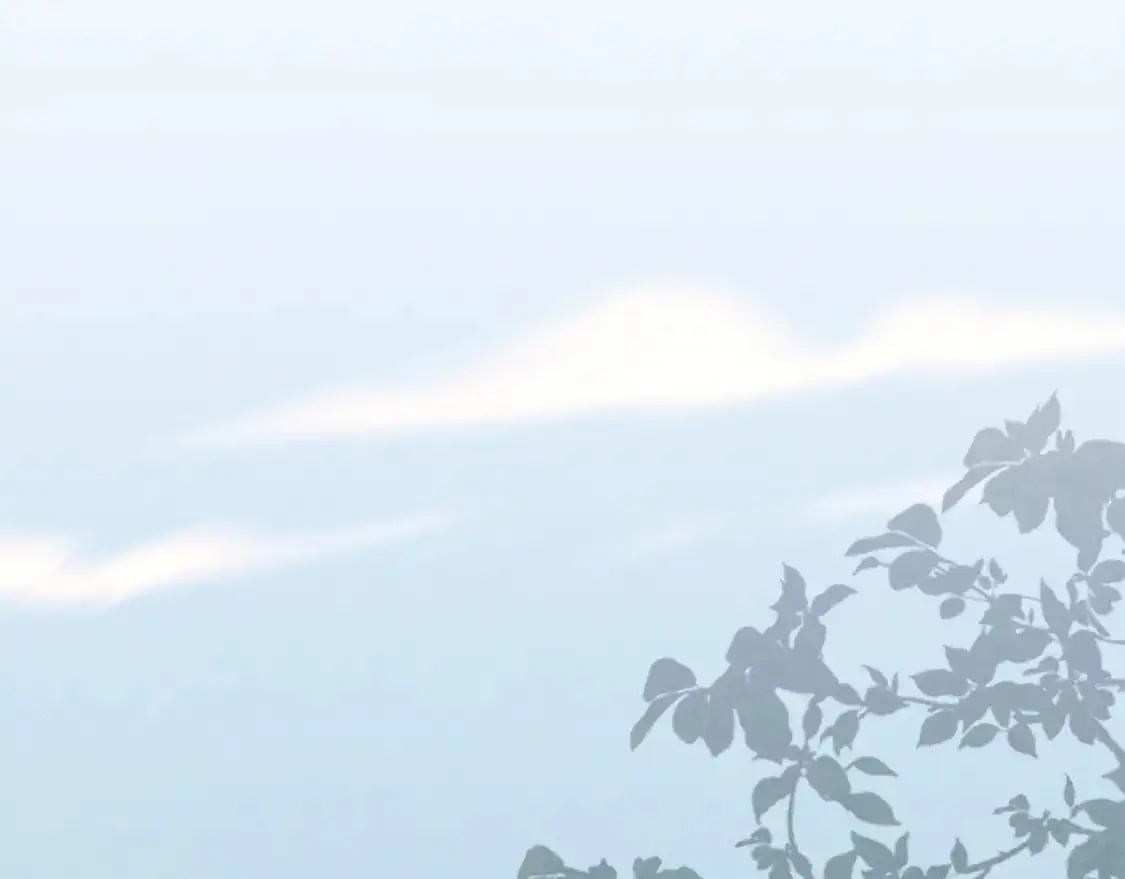 第149话 人肉炸弹240