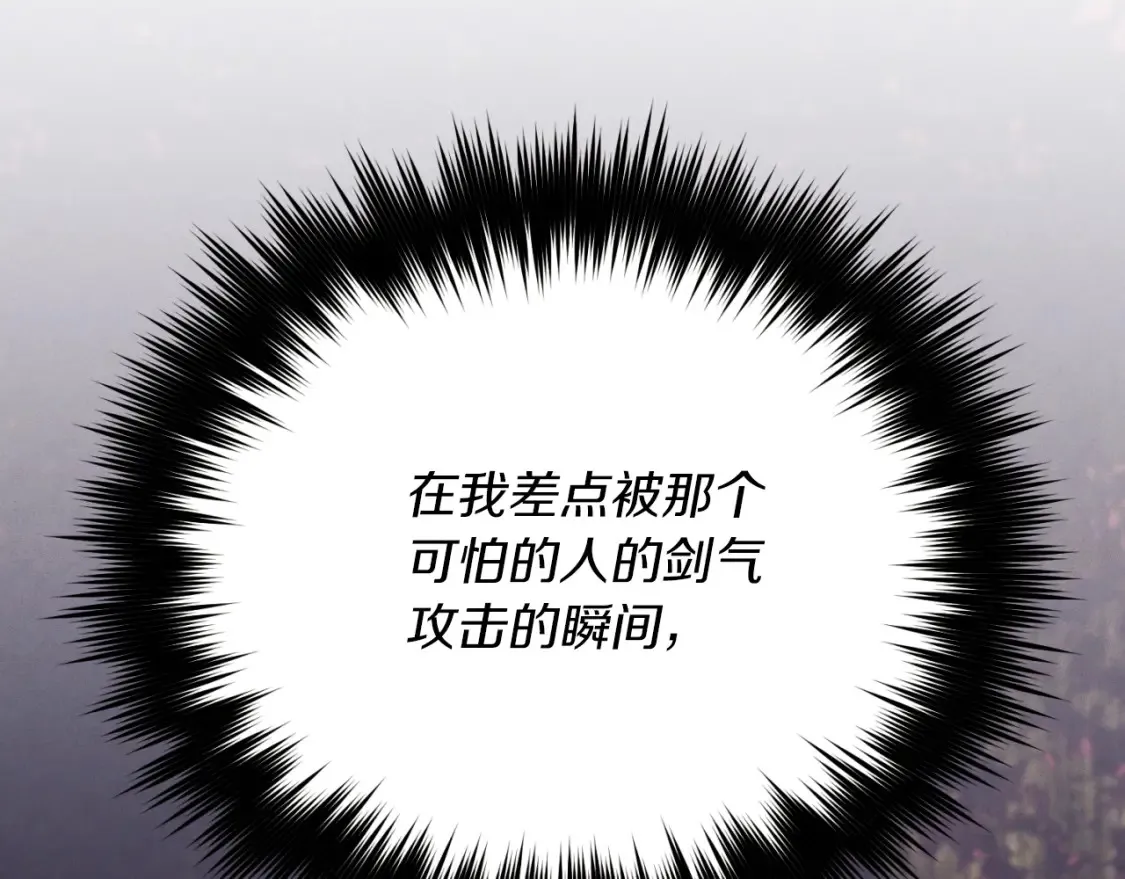 第170话 回旋十字刃127