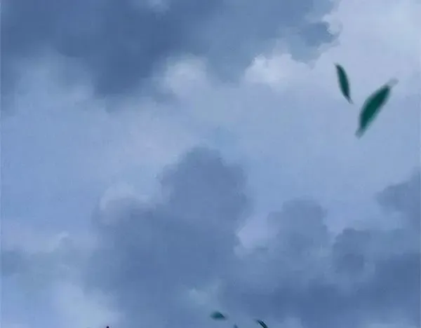 第184话 情况反转205