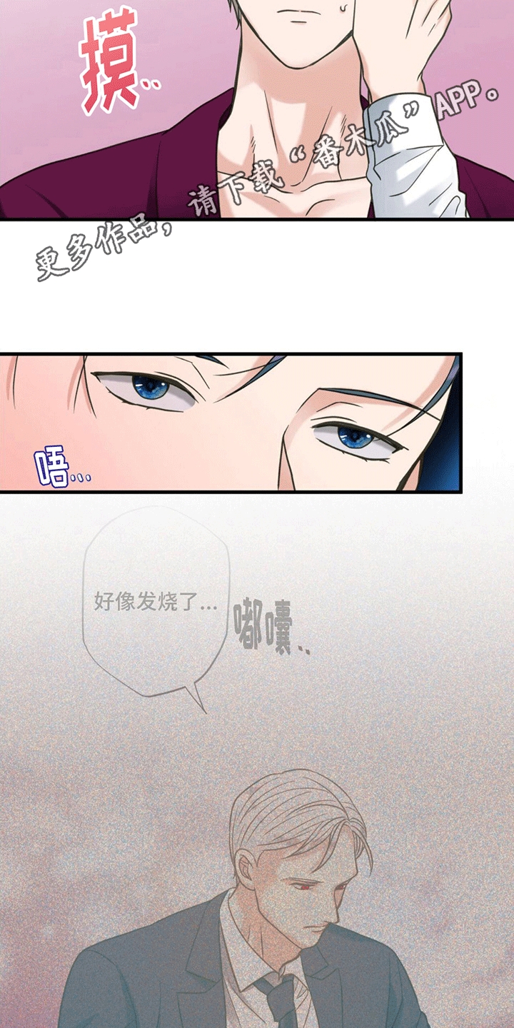 第17章：改变策略5