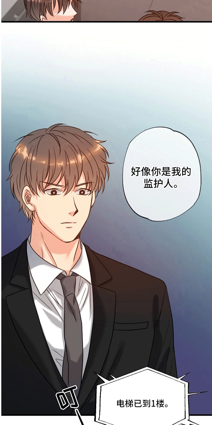 第4章：作出决定21