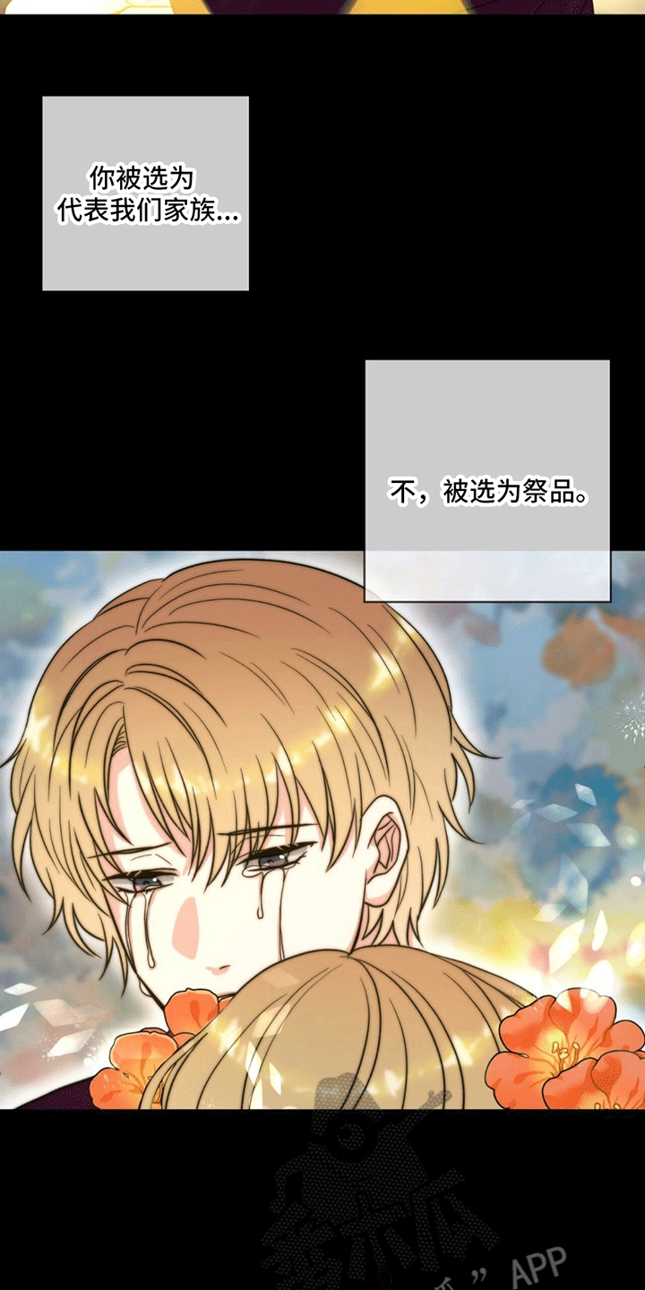 第10章：抓捕9