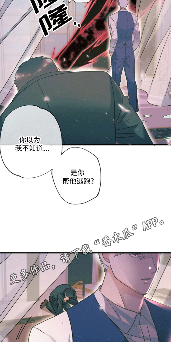 第14章：真相9