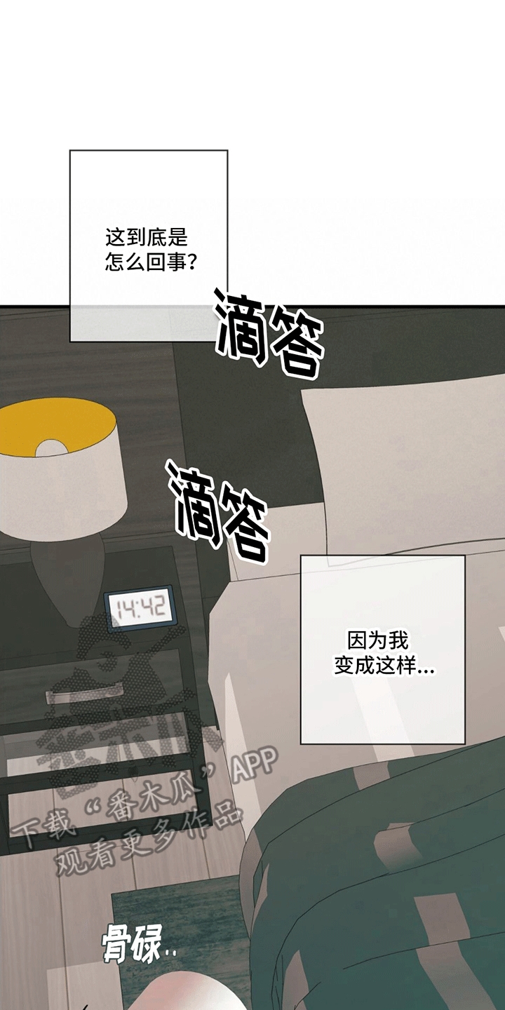第15章：逆转8