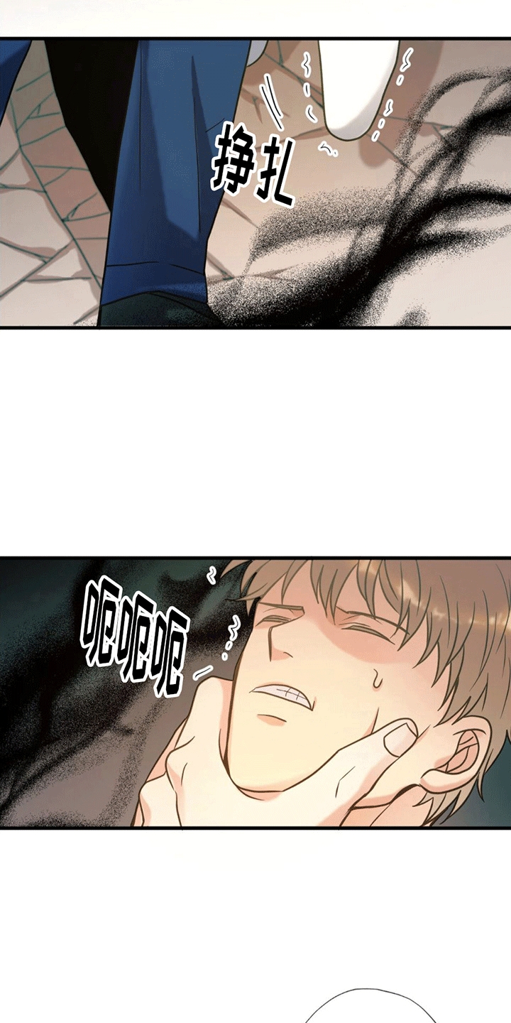 第14章：真相20