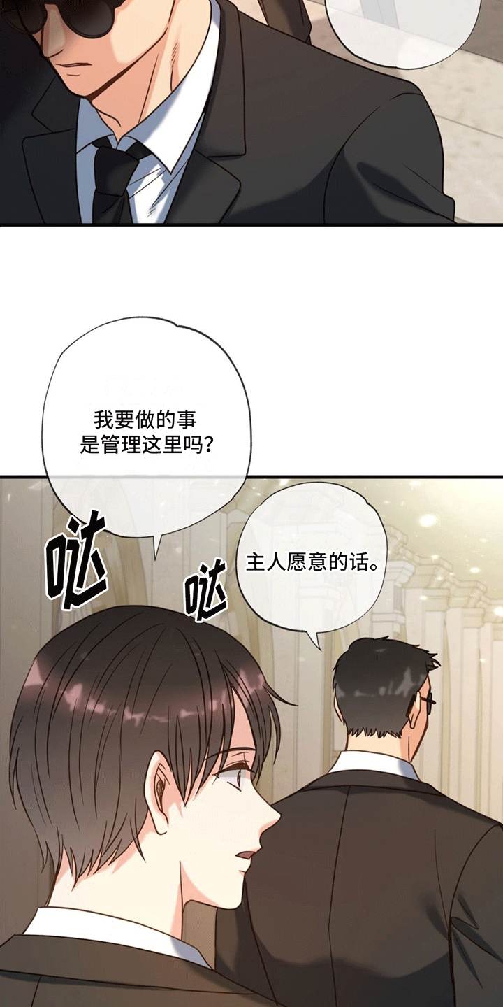 第5章：照顾14