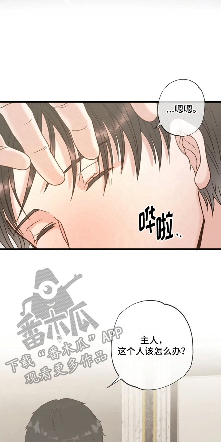 第8章：发烧24