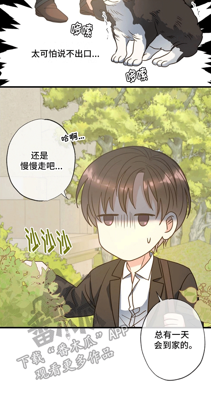 第12章：回家10