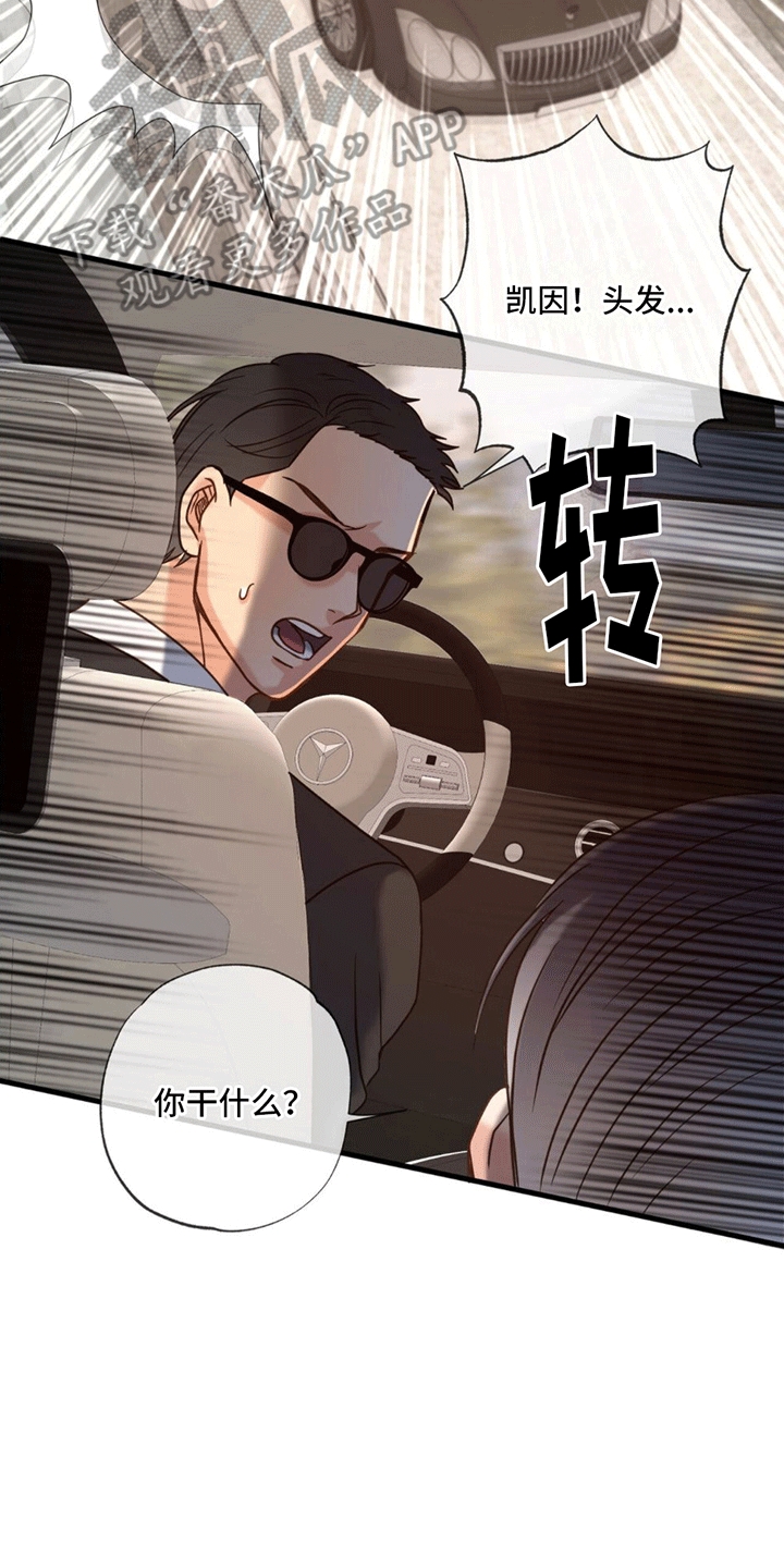 第6章：力量回归23