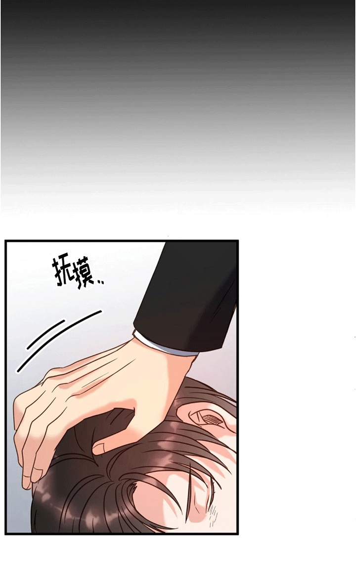 第4章：作出决定12
