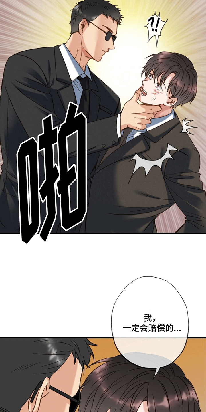 第2章：赔偿5