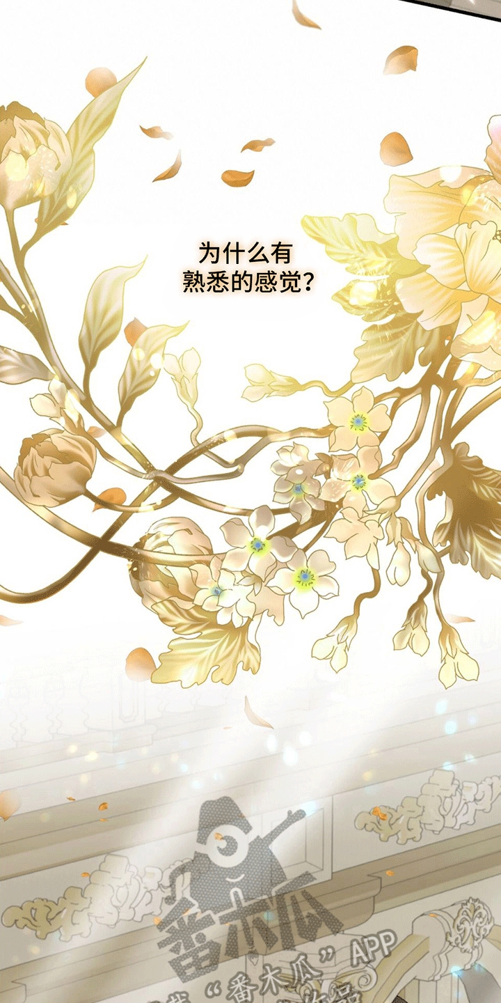 第5章：照顾17