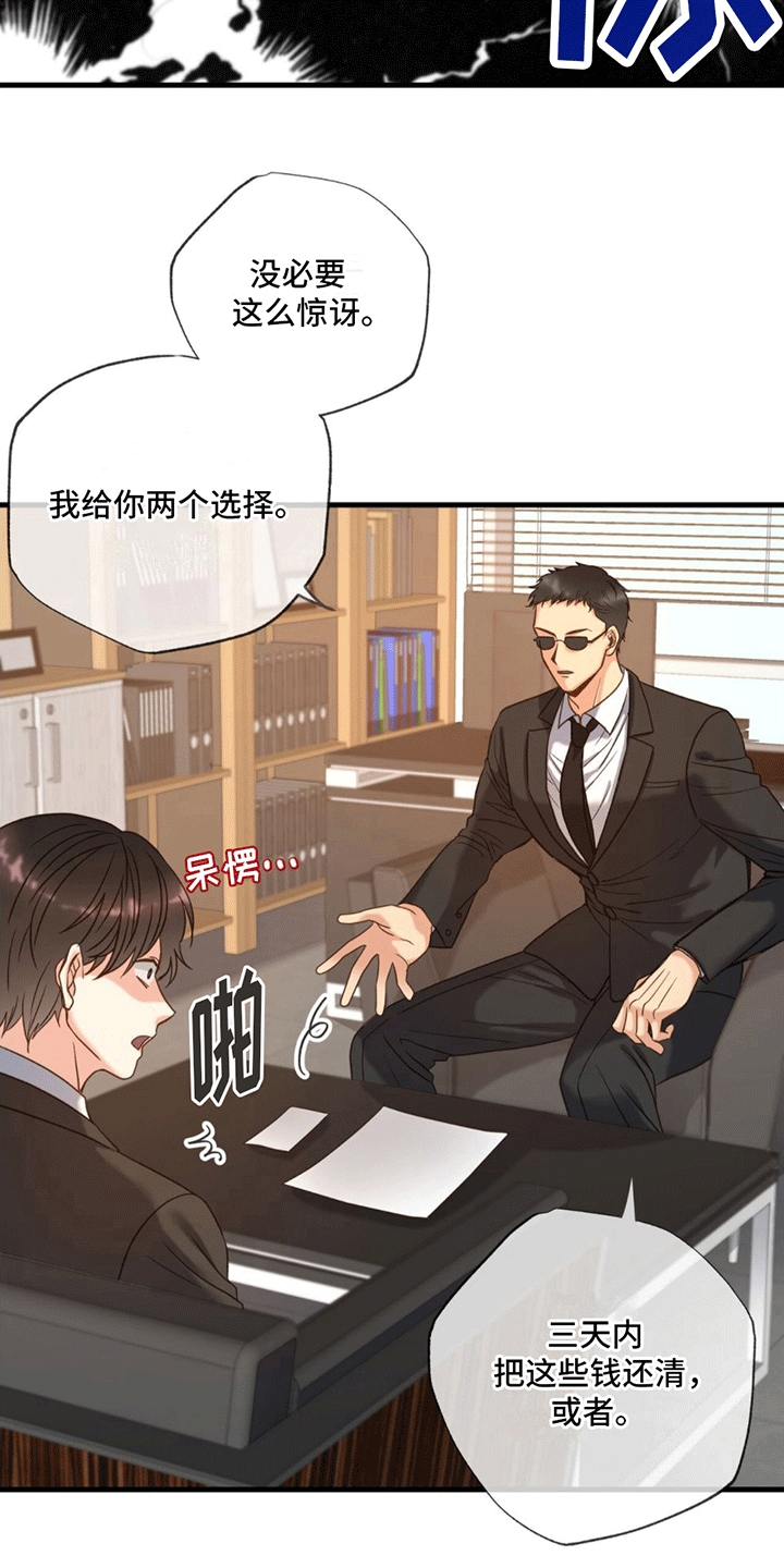 第2章：赔偿12