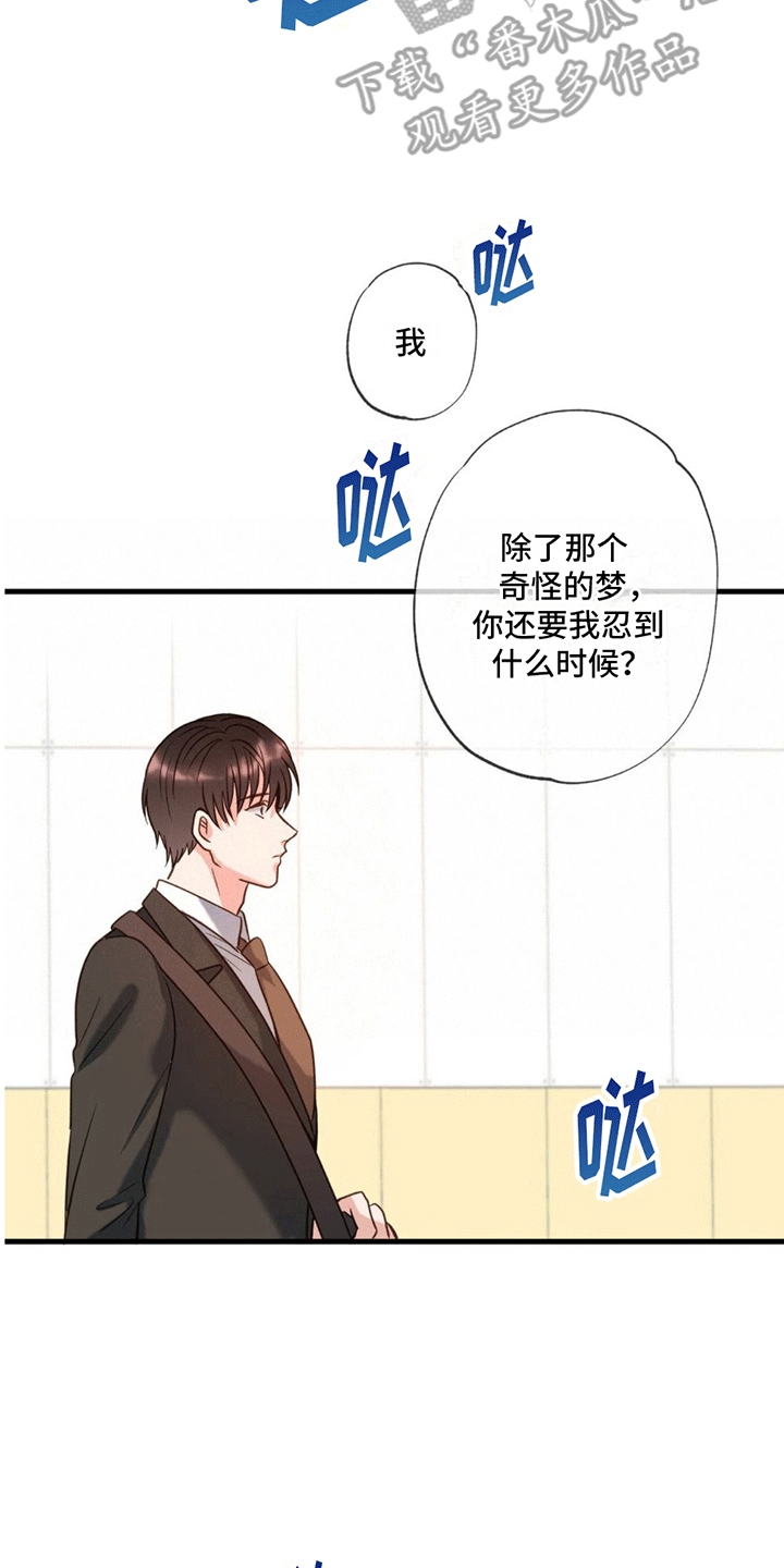 第4章：作出决定23