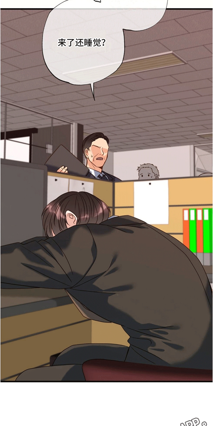 第4章：作出决定5
