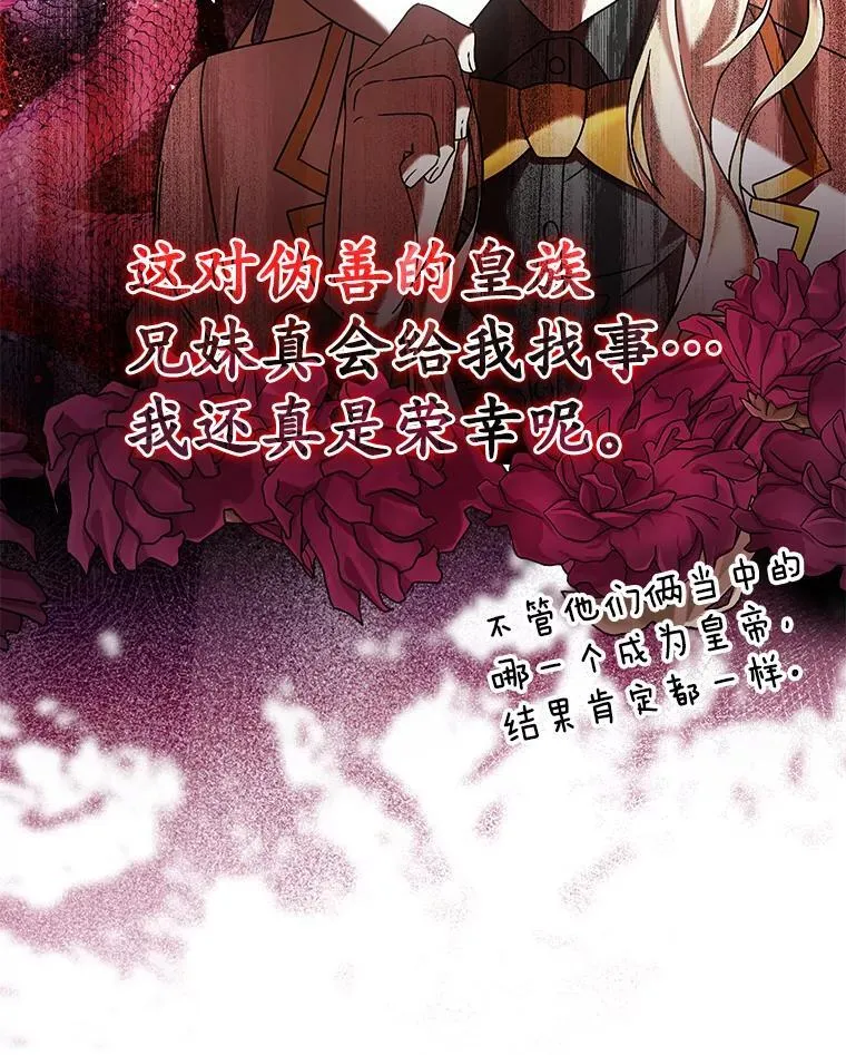 27.你想赢吗22