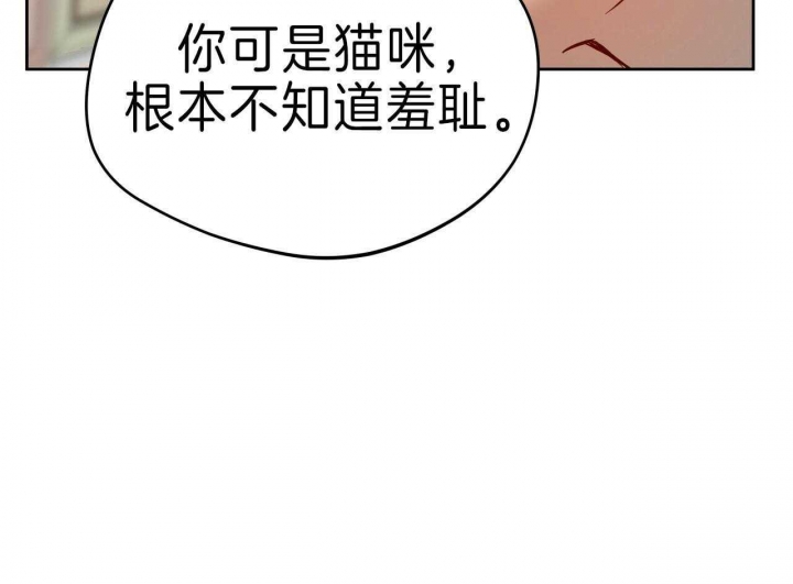 第62话37