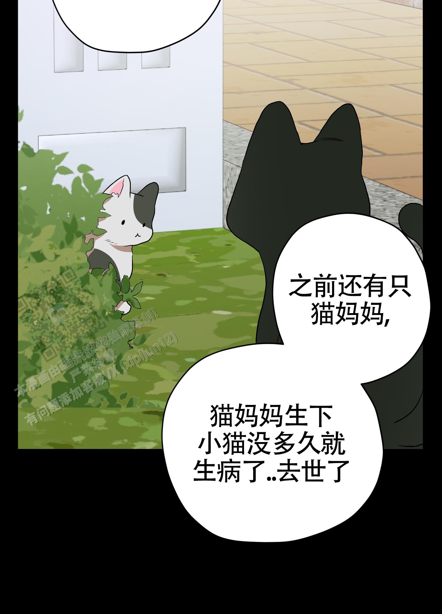 第40话17