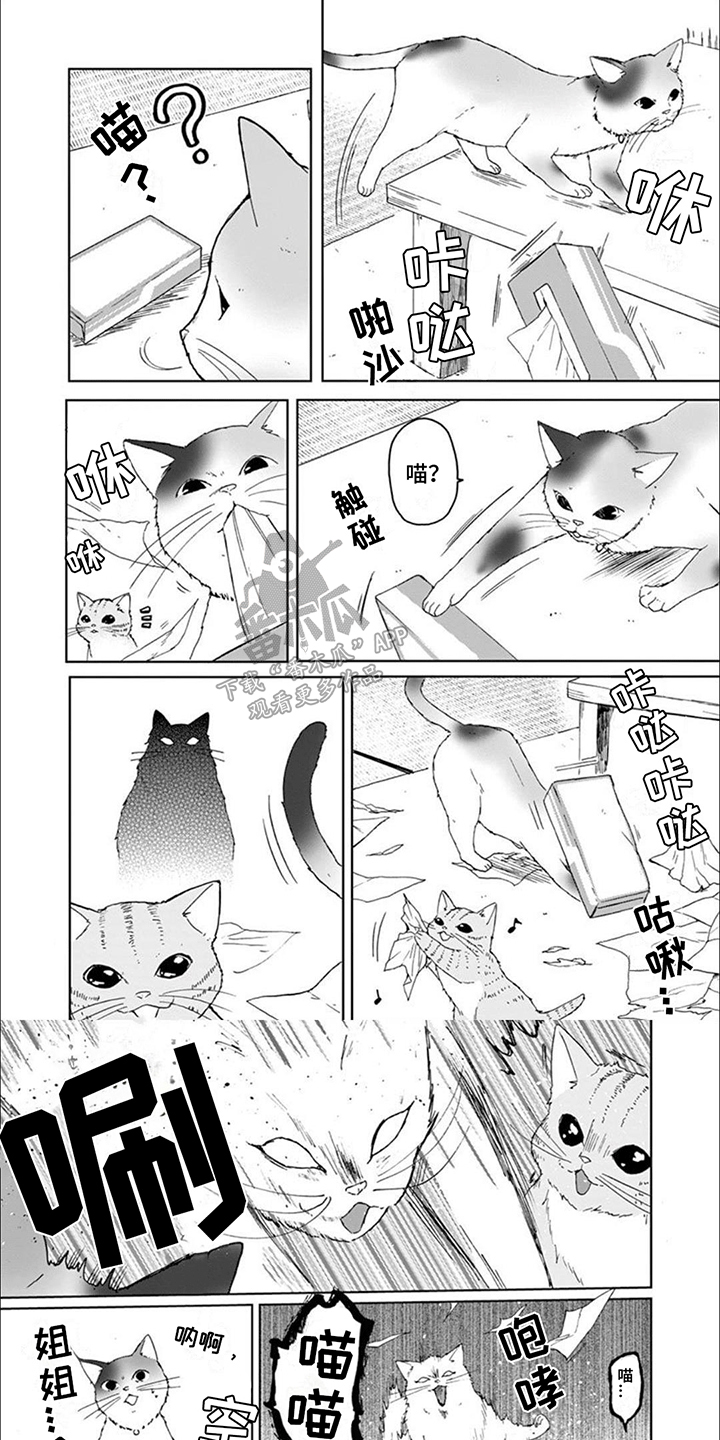 第8话3