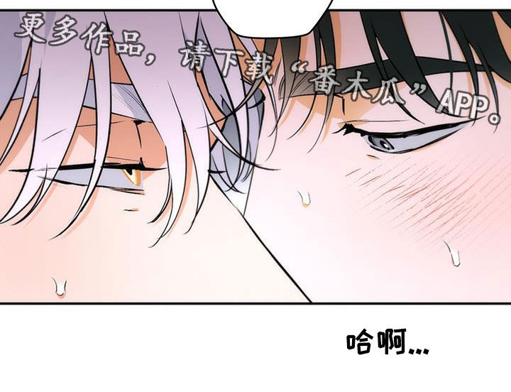 第24话22