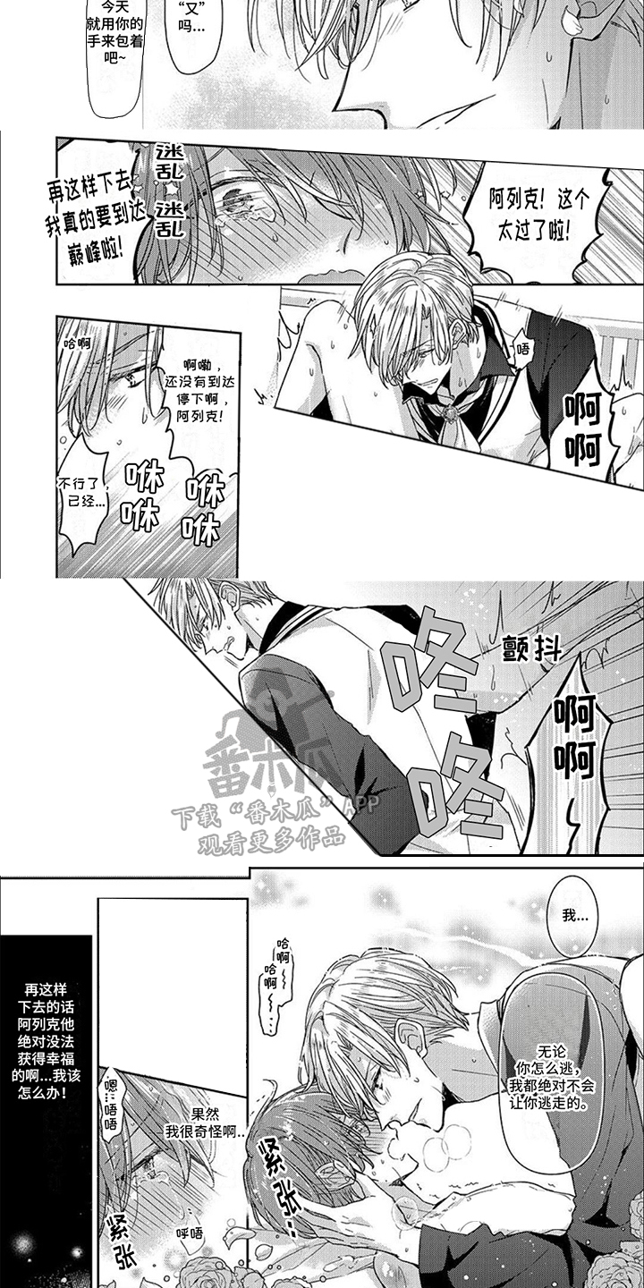 第8章：特意安排6