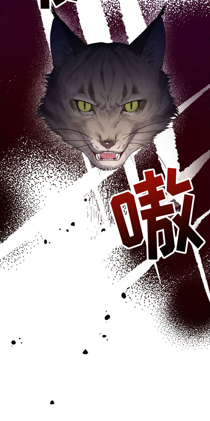 第3章：见面17
