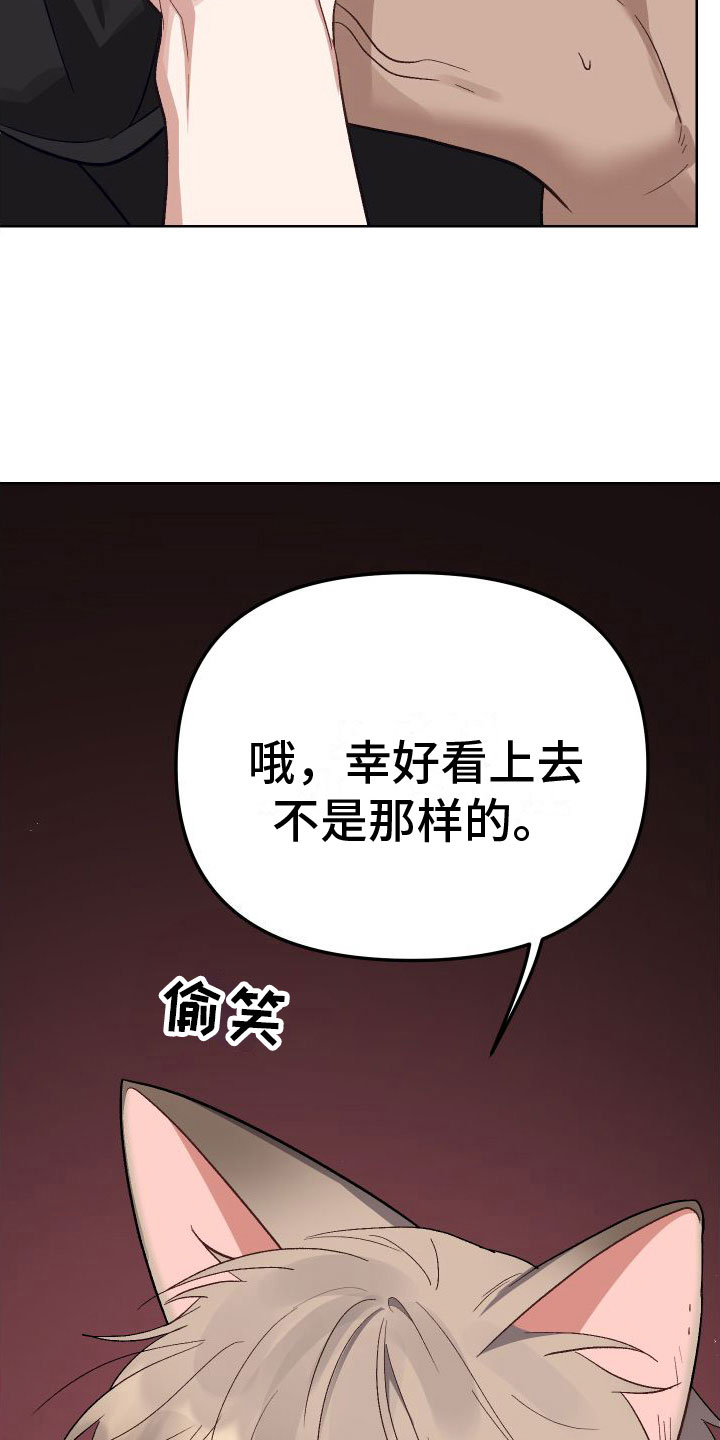 第6章：不行29