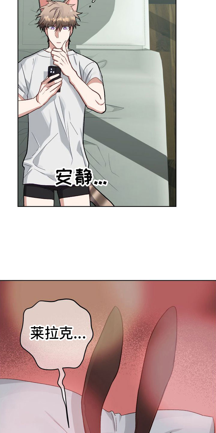第6章：不行4