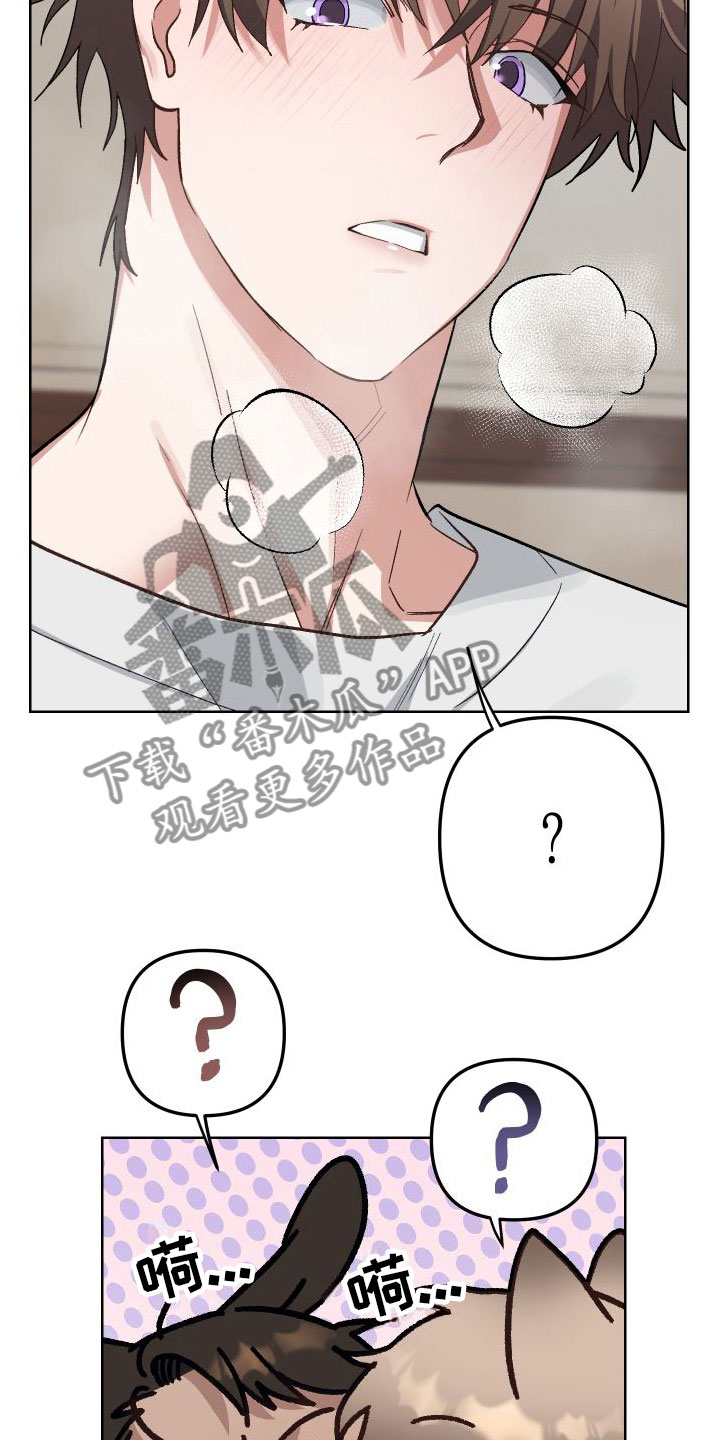 第8章：有点奇怪5